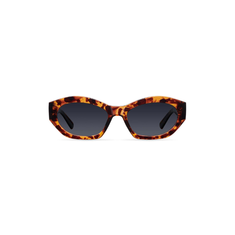 Sunglasses Sitis Tigris Carbon MELLER
