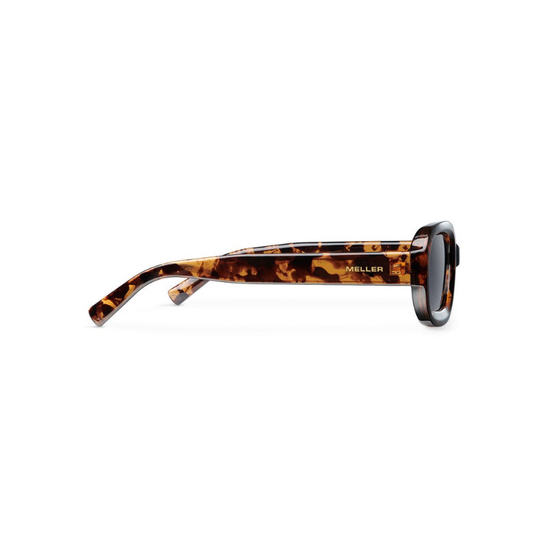 Sunglasses Dashi Tigris Carbon | MELLER