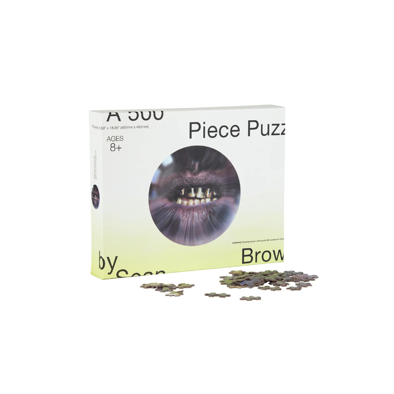 Home Decor Trick 500 Piece Fisheye Puzzle | Curves