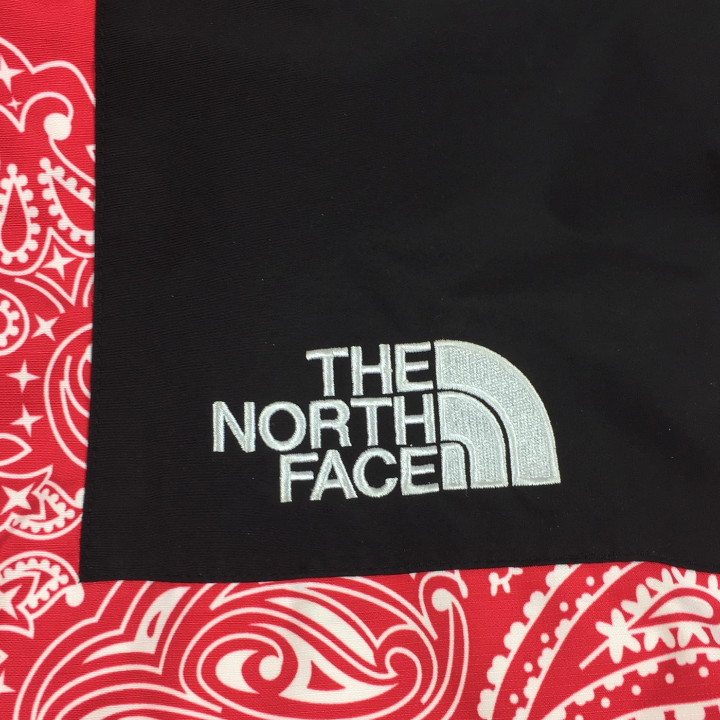 Veste 2014 Red Bandana Mountain Light | Supreme x The North Face