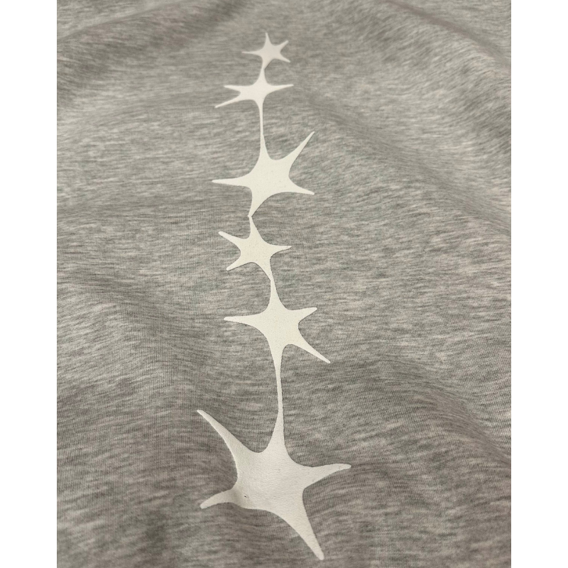 Hoodie Cosmos Grey V2 | Année Lumière