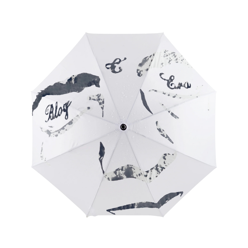 Goodies Curves x The Blog Era 'Dedication 2' Color-Changing Umbrella | Curves