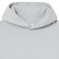 Hoodie Stone Grey | Perplex
