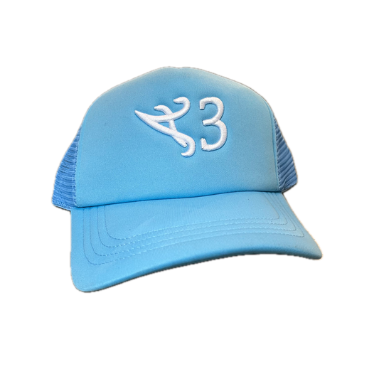 Cap PPSC bleu