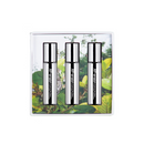 Perfume Ascension Fragrance Oil (Set of 3) | Curves