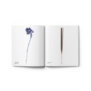 Magazine Curves Catalogue Spring 2024 | Curves