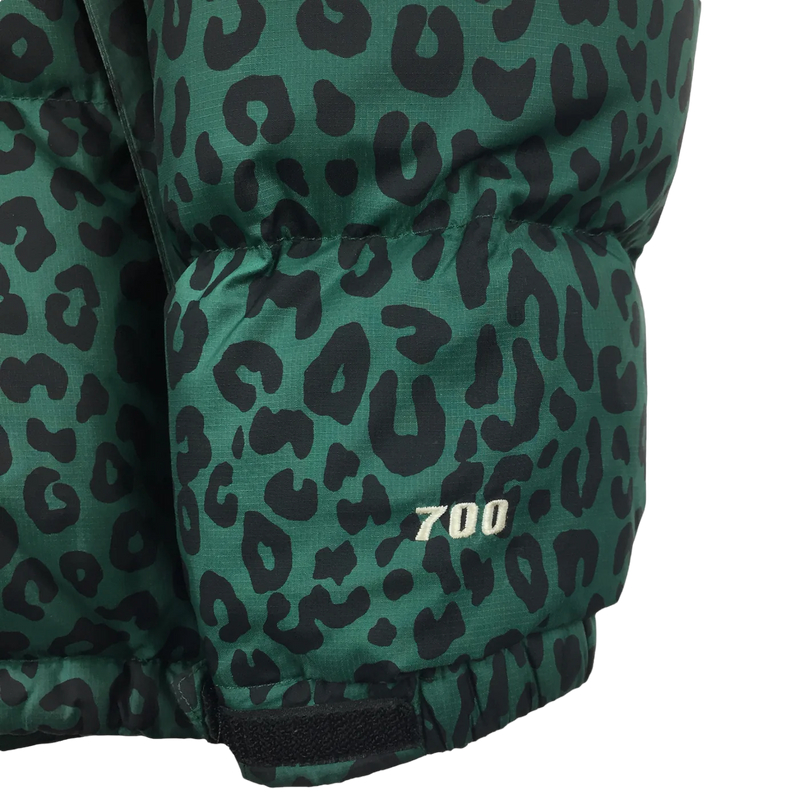 2011 Supreme x The North Face Green Leopard