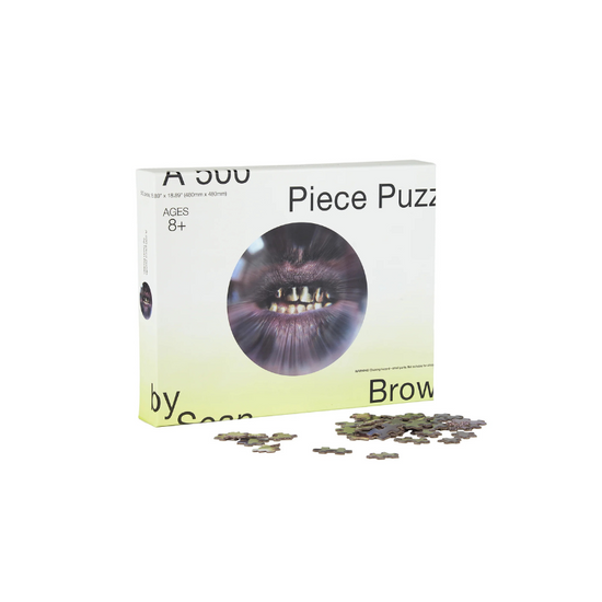 Home Decor Trick 500 Piece Fisheye Puzzle | Curves