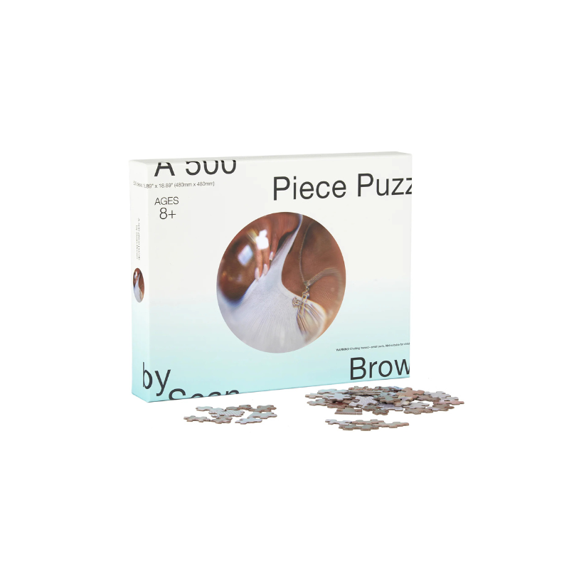 Goodies Total 500 Piece Fisheye Puzzle | Curves